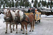 gemütliche Kutschfahrten (Foto: el)